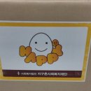 행복한 콩이야기