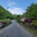 천태산 오토캠핑장 이미지