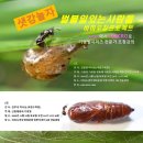 (주)한강모터스 이미지