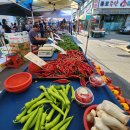 여주-1050 이미지