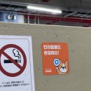 옹진상회 이미지