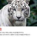 산골마당 이미지