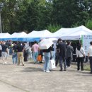 전남 31 전남매일