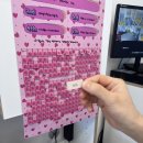 우리끼리키즈카페블럭마을부산 | 군산 조촌동 디오션 무인키즈카페 우리끼리(블럭마을 내돈내산 지극히 개인적인 후기)