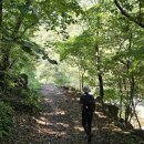 조화이용소 | (둘레길 사진 후기 - 26) 용소계곡숲길, 수타사계곡