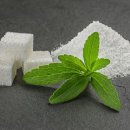 동남식품 이미지