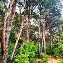 기내미재 이미지