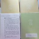 2025년 복음 말씀 성경필사 이미지