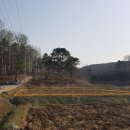 통일로 금촌농장 이미지