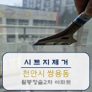 월봉청솔아파트(2차) | [시트지제거]천안시 쌍용동 월봉청솔2차 아파트
