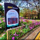 용바위어린이공원 이미지