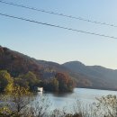 주완농장 이미지