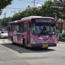 중앙초교 사거리 이미지