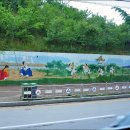 감나무식당 이미지