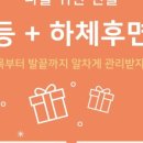 선 에스테딕 네이버블로그
