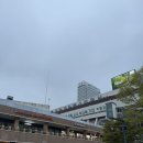 고속 | 장거리 버스도 이렇게 편할 수 있나, 프리미엄 고속버스 솔직후기