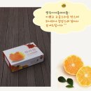 영숙농장 이미지