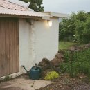 little tiny(리틀 타이니) 이미지