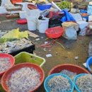 벌교5일시장 이미지