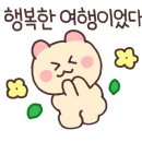 남애리458스테이 이미지