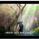 눈큰나라 이미지