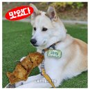 닭오리의 꿈 | 강아지 설날 음식, 수제간식 육전 오리고기 소고기 닭고기 가능