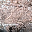 용산천변길 이미지