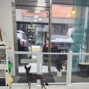 지나펫살롱 이미지