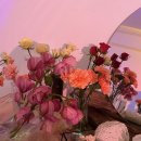 오다헤어(경리단길) | 산호맨숀 후기🕊