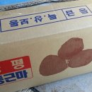 기호농장 이미지