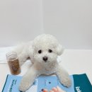 [이즈칸] 충북 음성 우리와키친펫푸드 청결 끝판왕 강아지 사료 자체공장