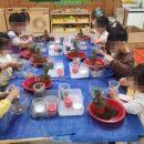 신안초등학교 병설유치원 이미지