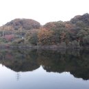 산들애 보리밥 이미지