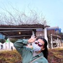 CAERUSO 이미지