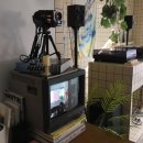 불당동문화카페거리 이미지