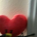 슈키 이미지