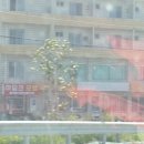 히딩크모텔 이미지