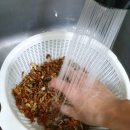 최강태권도 이미지