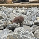 가리점 하우스 이미지