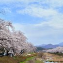 모악 작은도서관 | 여행 이야기 – 짧아서 더 아름답다… 천년고찰 송광사의 봄(최현태)/ 여행 욕구 절정…홈쇼핑·라방서...