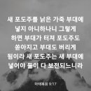 마태복음 9장 17절 이미지