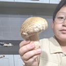 달팜마켓