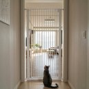 (주)고려제지 | 아토주 가두리 v2 150cm 고양이 방묘문, 드디어 평화가 왔어요