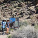 더월(The wall) 이미지