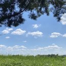 어바웃레스트 이미지