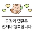 메르벨르A 이미지