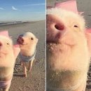 경남식당 본점 이미지