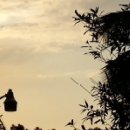 커피톡톡 이미지