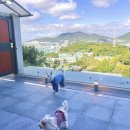 엘리스테이 이미지