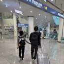 서길 엔터테이먼트 | 25&#39; 유럽 여행 인천 - 비엔나 (ICN - VIE) KE937편 탑승 후기(B787-10 / B78X)